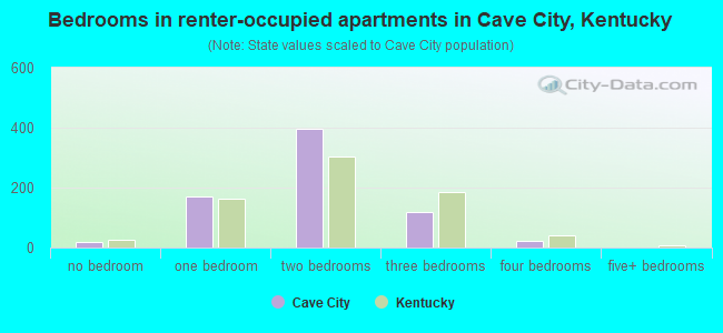 Bedrooms in renter-occupied apartments in Cave City, Kentucky