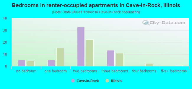 Bedrooms in renter-occupied apartments in Cave-In-Rock, Illinois