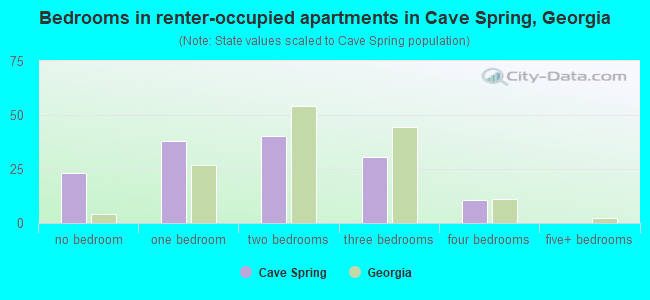 Bedrooms in renter-occupied apartments in Cave Spring, Georgia