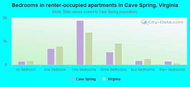 Bedrooms in renter-occupied apartments in Cave Spring, Virginia