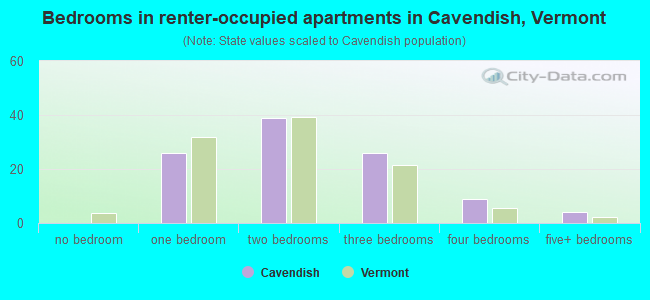 Bedrooms in renter-occupied apartments in Cavendish, Vermont