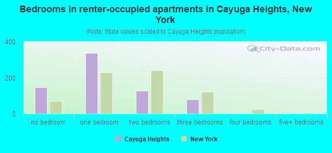 Bedrooms in renter-occupied apartments in Cayuga Heights, New York