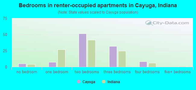 Bedrooms in renter-occupied apartments in Cayuga, Indiana