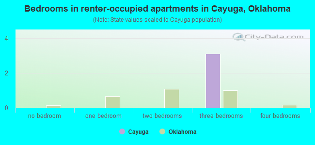 Bedrooms in renter-occupied apartments in Cayuga, Oklahoma