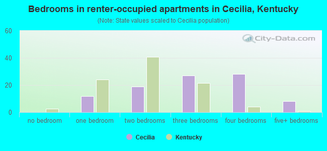 Bedrooms in renter-occupied apartments in Cecilia, Kentucky