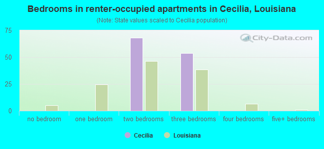 Bedrooms in renter-occupied apartments in Cecilia, Louisiana