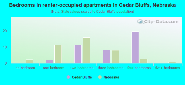 Bedrooms in renter-occupied apartments in Cedar Bluffs, Nebraska