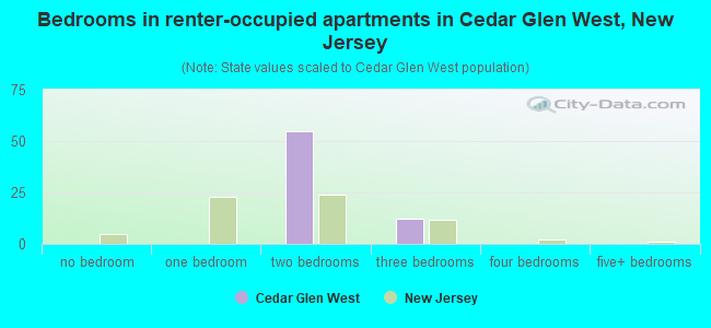 Bedrooms in renter-occupied apartments in Cedar Glen West, New Jersey