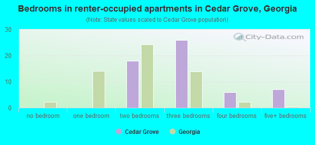 Bedrooms in renter-occupied apartments in Cedar Grove, Georgia