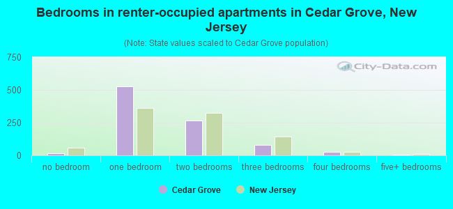 Bedrooms in renter-occupied apartments in Cedar Grove, New Jersey