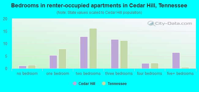 Bedrooms in renter-occupied apartments in Cedar Hill, Tennessee