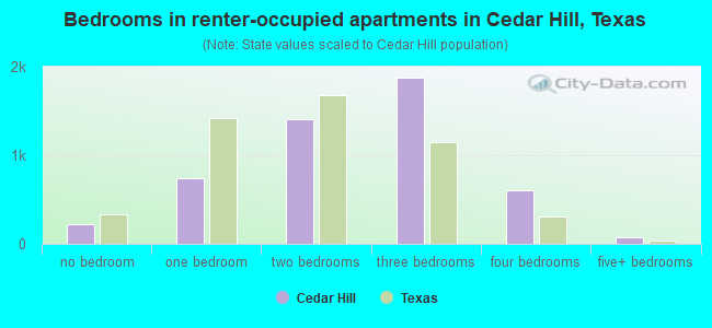 Bedrooms in renter-occupied apartments in Cedar Hill, Texas
