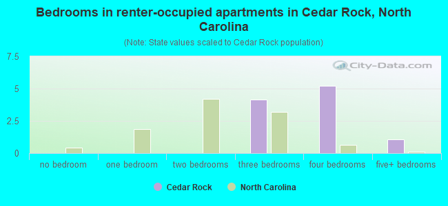 Bedrooms in renter-occupied apartments in Cedar Rock, North Carolina