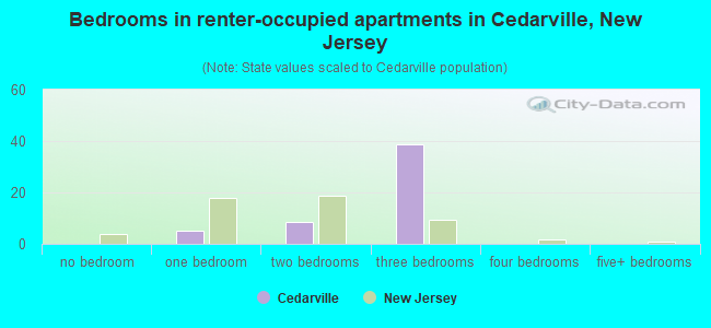 Bedrooms in renter-occupied apartments in Cedarville, New Jersey