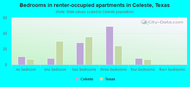 Bedrooms in renter-occupied apartments in Celeste, Texas