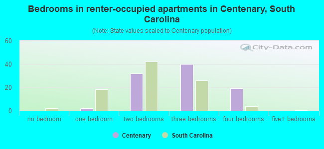 Bedrooms in renter-occupied apartments in Centenary, South Carolina