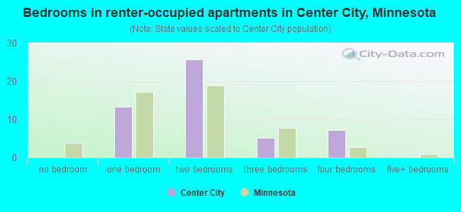 Bedrooms in renter-occupied apartments in Center City, Minnesota