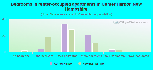 Bedrooms in renter-occupied apartments in Center Harbor, New Hampshire