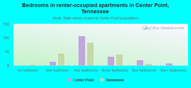 Bedrooms in renter-occupied apartments in Center Point, Tennessee