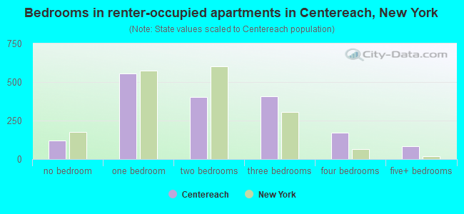 Bedrooms in renter-occupied apartments in Centereach, New York