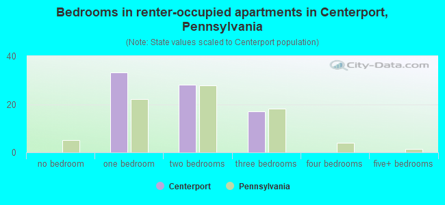 Bedrooms in renter-occupied apartments in Centerport, Pennsylvania