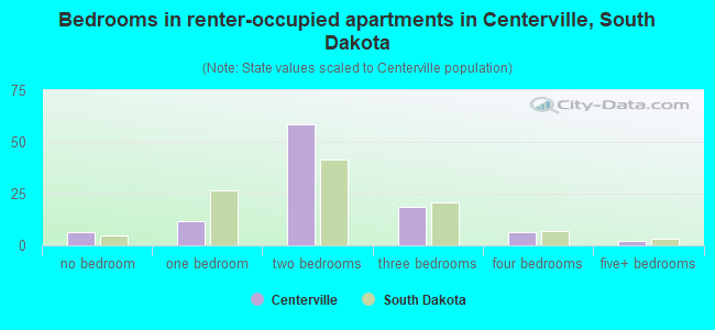 Bedrooms in renter-occupied apartments in Centerville, South Dakota