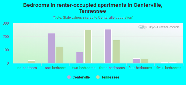 Bedrooms in renter-occupied apartments in Centerville, Tennessee