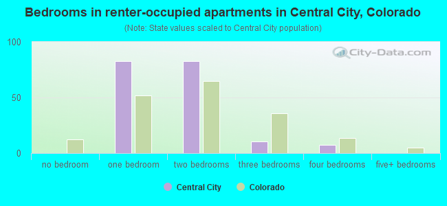 Bedrooms in renter-occupied apartments in Central City, Colorado