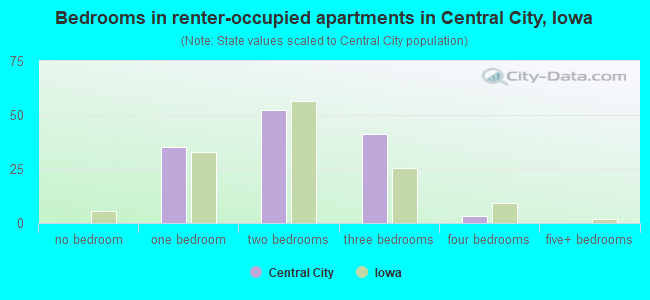 Bedrooms in renter-occupied apartments in Central City, Iowa