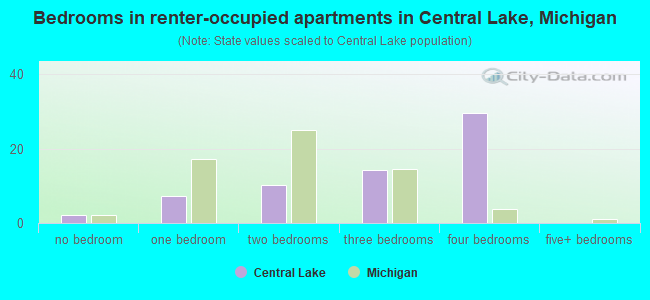 Bedrooms in renter-occupied apartments in Central Lake, Michigan