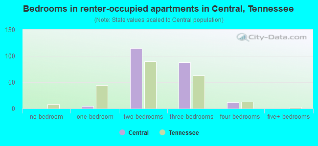 Bedrooms in renter-occupied apartments in Central, Tennessee