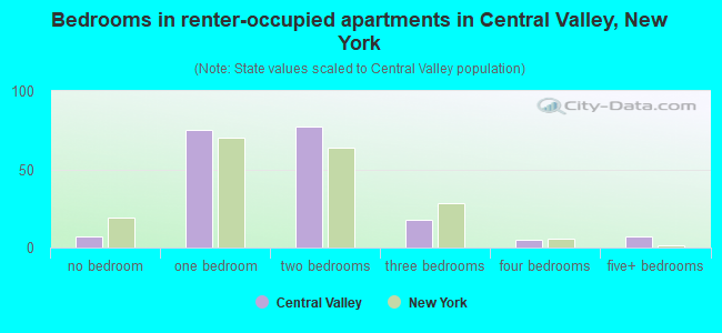 Bedrooms in renter-occupied apartments in Central Valley, New York