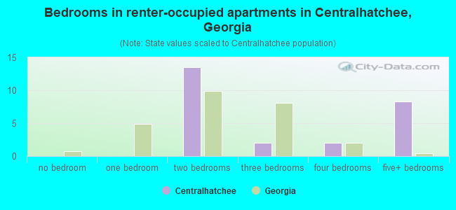 Bedrooms in renter-occupied apartments in Centralhatchee, Georgia