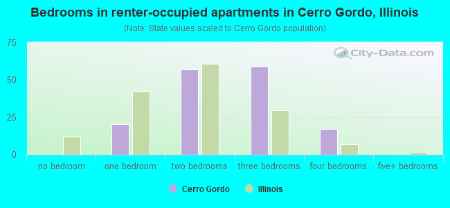 Bedrooms in renter-occupied apartments in Cerro Gordo, Illinois