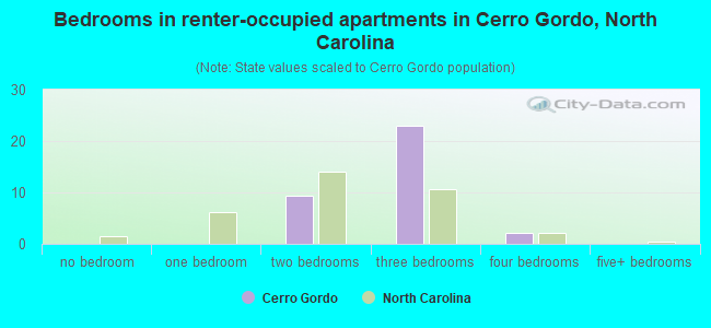 Bedrooms in renter-occupied apartments in Cerro Gordo, North Carolina