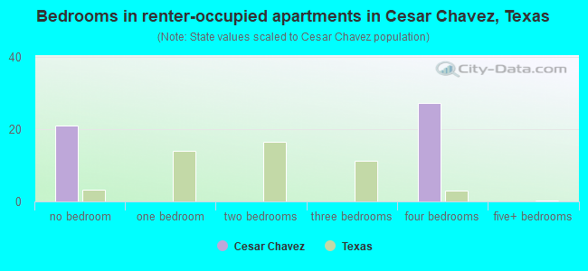 Bedrooms in renter-occupied apartments in Cesar Chavez, Texas