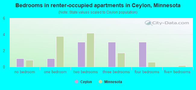 Bedrooms in renter-occupied apartments in Ceylon, Minnesota