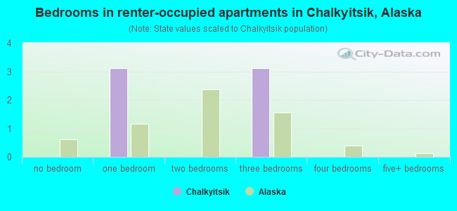 Bedrooms in renter-occupied apartments in Chalkyitsik, Alaska