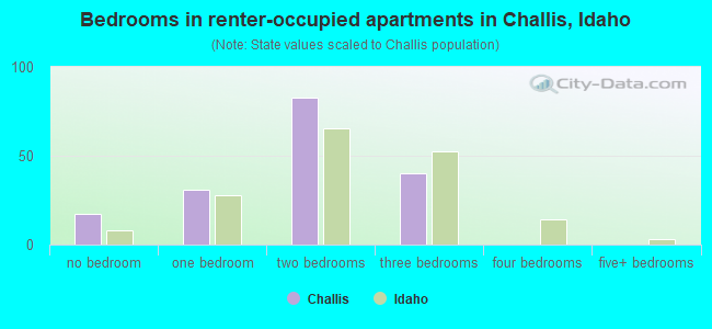 Bedrooms in renter-occupied apartments in Challis, Idaho