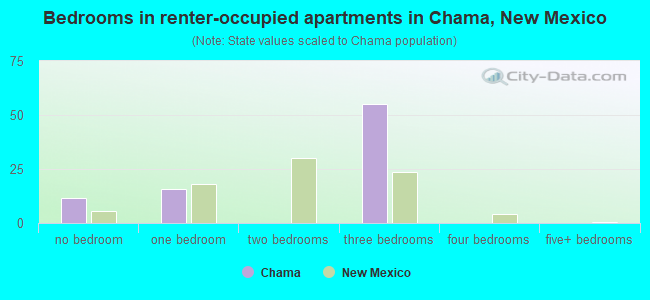 Bedrooms in renter-occupied apartments in Chama, New Mexico