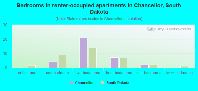 Bedrooms in renter-occupied apartments in Chancellor, South Dakota