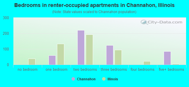 Bedrooms in renter-occupied apartments in Channahon, Illinois