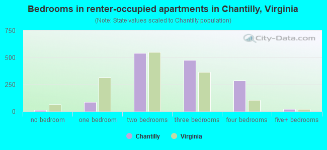 Bedrooms in renter-occupied apartments in Chantilly, Virginia