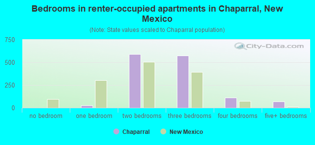 Bedrooms in renter-occupied apartments in Chaparral, New Mexico