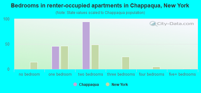 Bedrooms in renter-occupied apartments in Chappaqua, New York