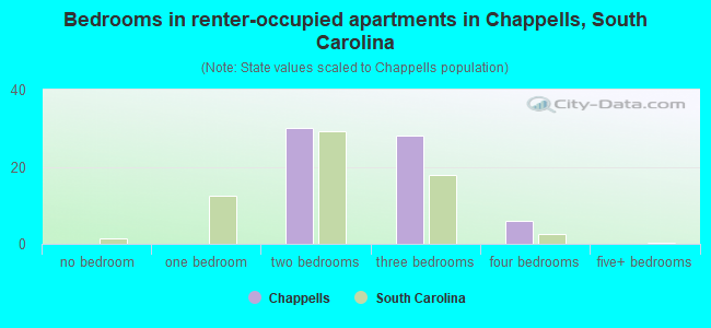 Bedrooms in renter-occupied apartments in Chappells, South Carolina