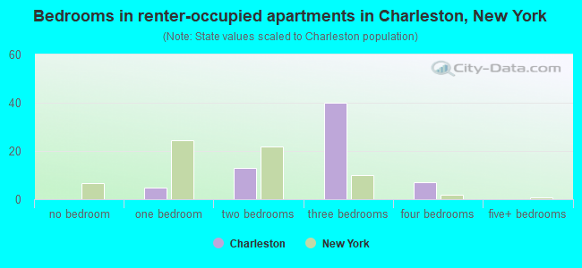 Bedrooms in renter-occupied apartments in Charleston, New York
