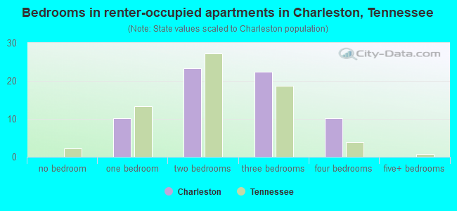 Bedrooms in renter-occupied apartments in Charleston, Tennessee