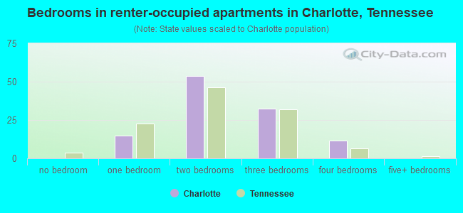 Bedrooms in renter-occupied apartments in Charlotte, Tennessee