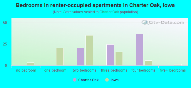 Bedrooms in renter-occupied apartments in Charter Oak, Iowa